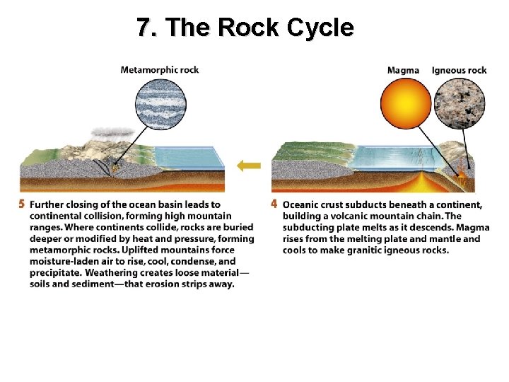 7. The Rock Cycle 