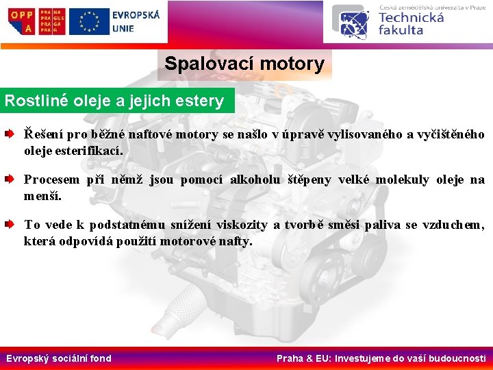 Spalovací motory Rostliné oleje a jejich estery Řešení pro běžné naftové motory se našlo