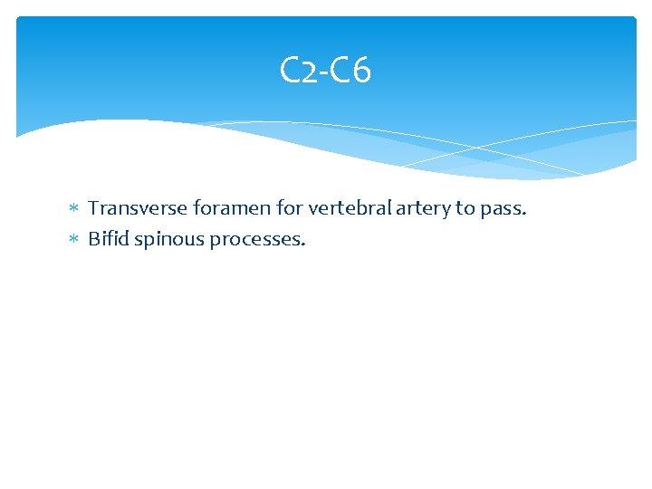 C 2 -C 6 Transverse foramen for vertebral artery to pass. Bifid spinous processes.