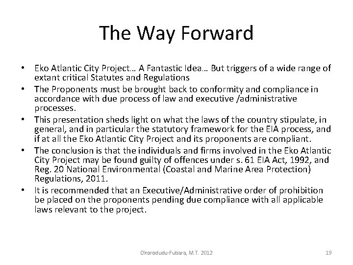 The Way Forward • Eko Atlantic City Project… A Fantastic Idea… But triggers of