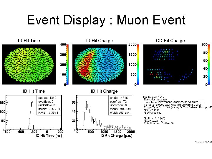 Event Display : Muon Event 