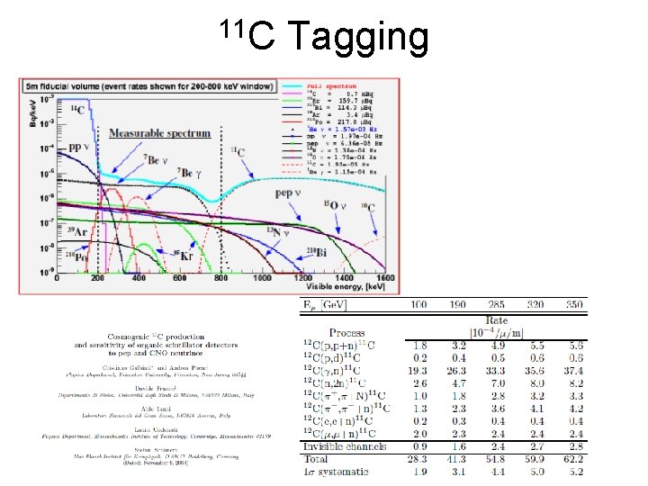 11 C Tagging 