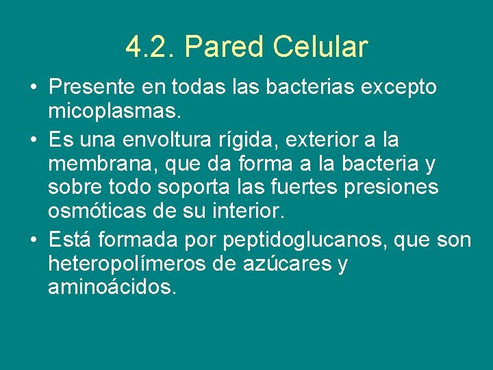 4. 2. Pared Celular • Presente en todas las bacterias excepto micoplasmas. • Es