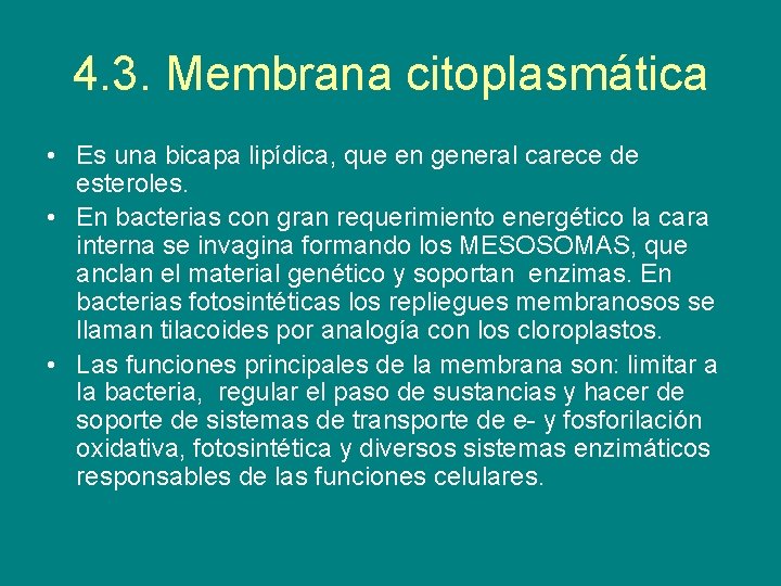 4. 3. Membrana citoplasmática • Es una bicapa lipídica, que en general carece de
