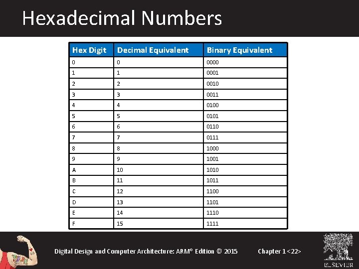 Hexadecimal Numbers Hex Digit Decimal Equivalent Binary Equivalent 0 0 0000 1 1 0001
