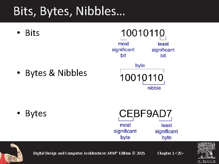 Bits, Bytes, Nibbles… • Bits • Bytes & Nibbles • Bytes Digital Design and