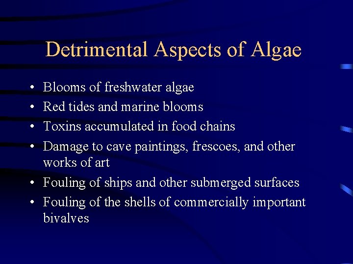Detrimental Aspects of Algae • • Blooms of freshwater algae Red tides and marine