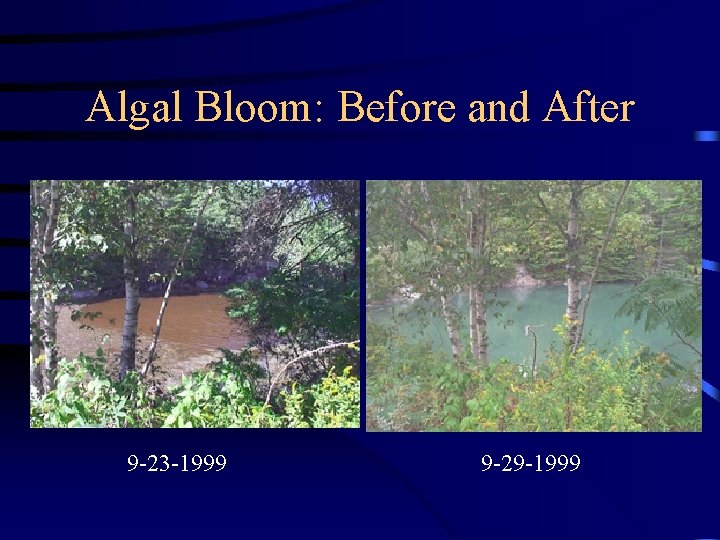 Algal Bloom: Before and After 9 -23 -1999 9 -29 -1999 