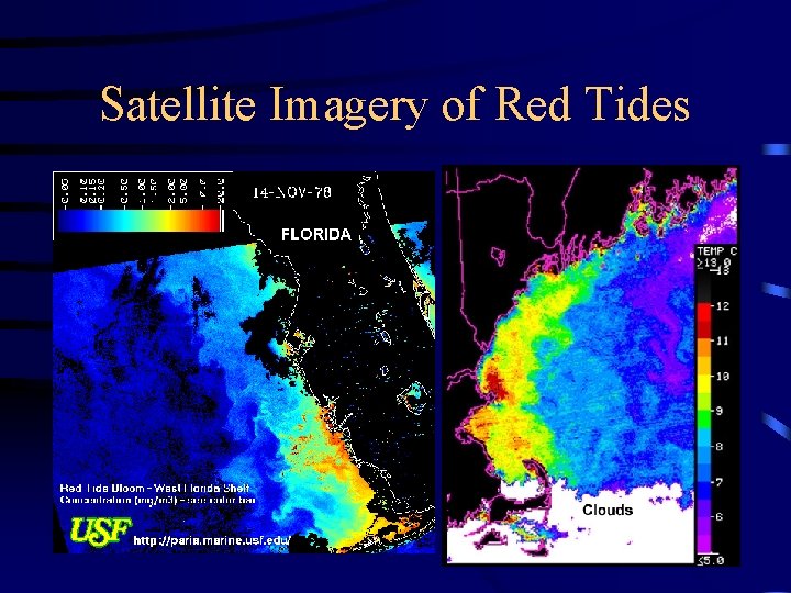Satellite Imagery of Red Tides Satellite Imagery of Red Tides