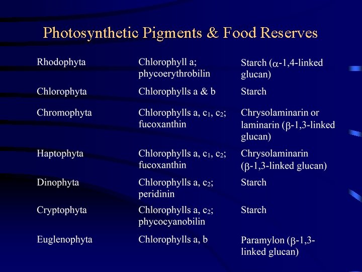 Photosynthetic Pigments & Food Reserves Photosynthetic Pigments & Food Reserves