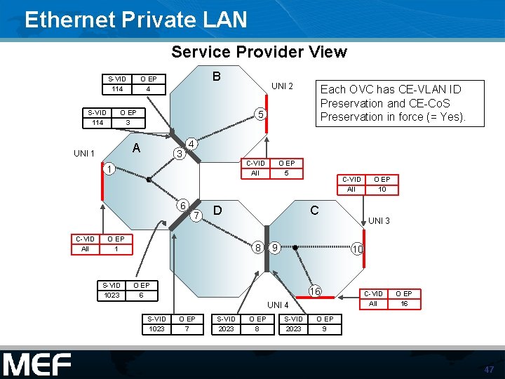 Ethernet Private LAN Service Provider View S-VID 114 B O EP 4 O EP