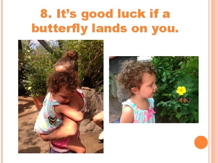 8. It’s good luck if a butterfly lands on you. 8. It’s good luck if a butterfly lands on you.