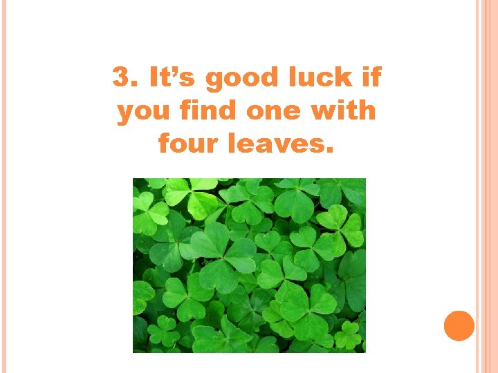 3. It’s good luck if you find one with four leaves. 3. It’s good luck if you find one with four leaves.