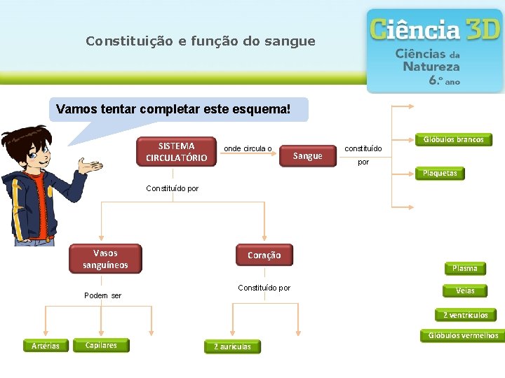 Constituição e função do sangue Vamos tentar completar este esquema! SISTEMA CIRCULATÓRIO onde circula