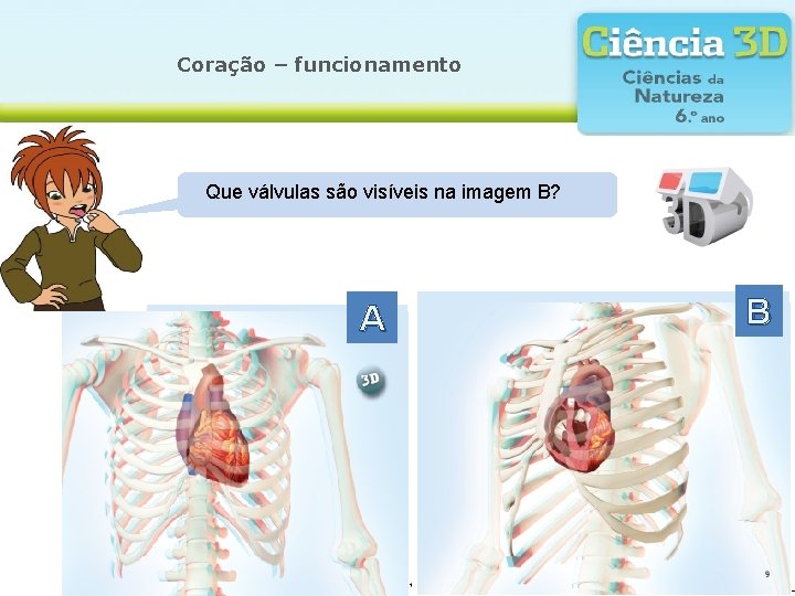 Coração – funcionamento Qual válvulas Onde Que corte ése a forma localiza foi realizado