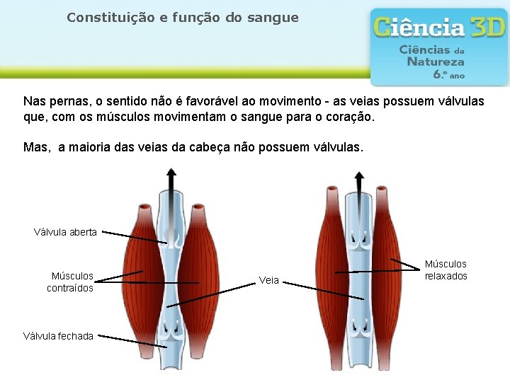 Constituição e função do sangue Nas pernas, o sentido não é favorável ao movimento