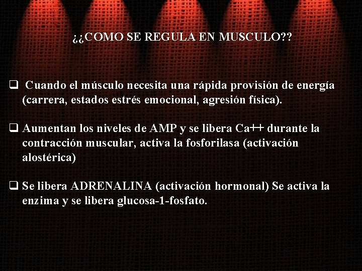 ¿¿COMO SE REGULA EN MUSCULO? ? q Cuando el músculo necesita una rápida provisión