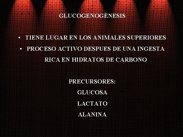 GLUCOGENOGÉNESIS • TIENE LUGAR EN LOS ANIMALES SUPERIORES • PROCESO ACTIVO DESPUES DE UNA