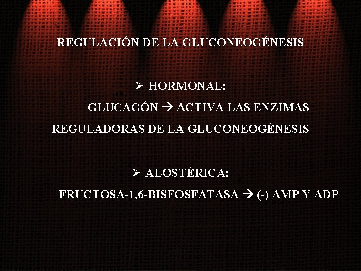 REGULACIÓN DE LA GLUCONEOGÉNESIS Ø HORMONAL: GLUCAGÓN ACTIVA LAS ENZIMAS REGULADORAS DE LA GLUCONEOGÉNESIS