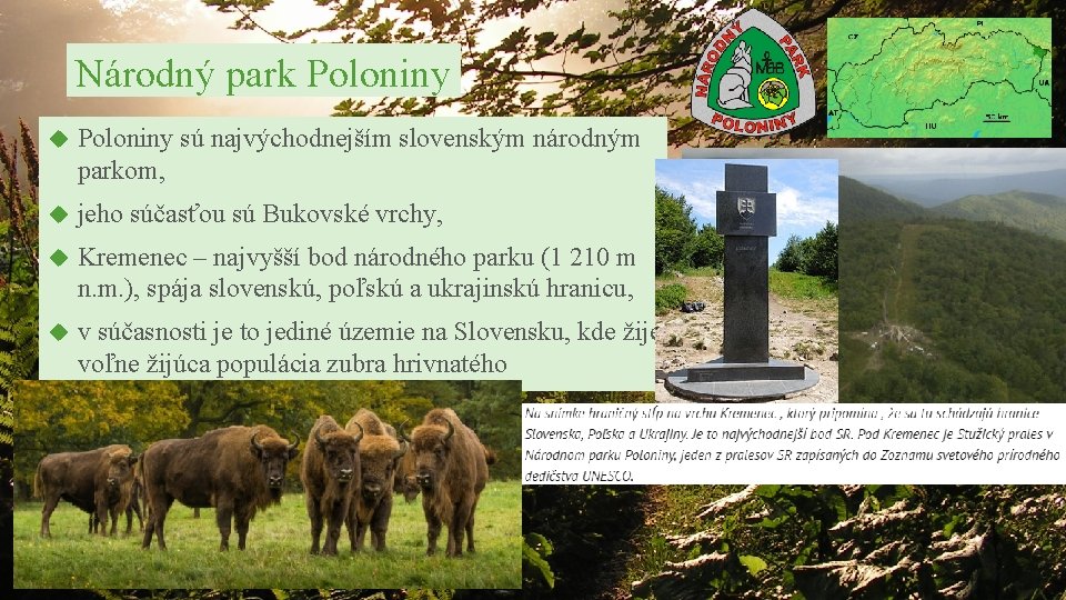 Národný park Poloniny sú najvýchodnejším slovenským národným parkom, jeho súčasťou sú Bukovské vrchy, Kremenec Národný park Poloniny sú najvýchodnejším slovenským národným parkom, jeho súčasťou sú Bukovské vrchy, Kremenec