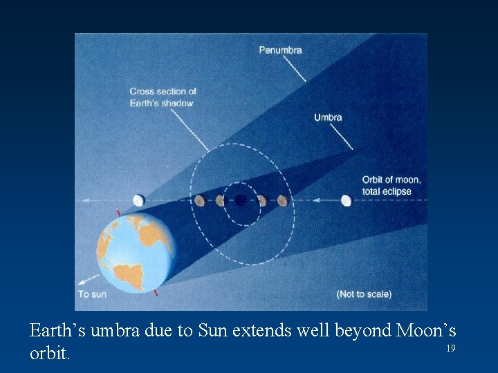 Earth’s umbra due to Sun extends well beyond Moon’s 19 orbit. 