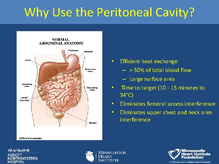 Why Use the Peritoneal Cavity? • Efficient heat exchange – > 50% of total
