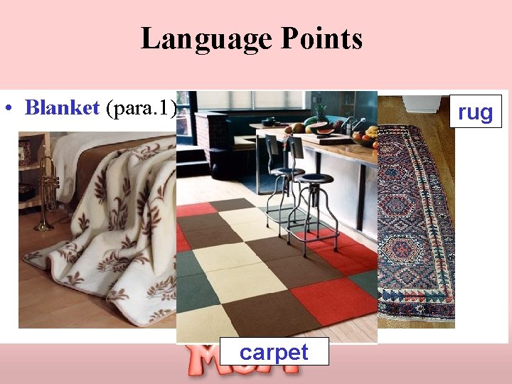 Language Points • Blanket (para. 1) rug carpet 