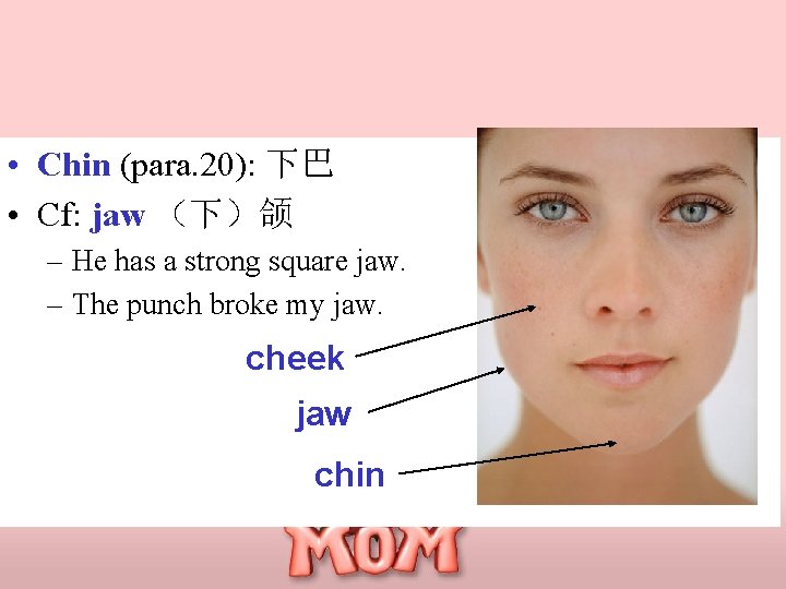 • Chin (para. 20): 下巴 • Cf: jaw （下）颌 – He has a