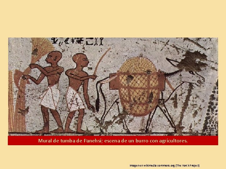 Mural de tumba de Panehsi; escena de un burro con agricultores. Imagen en wikimedia Mural de tumba de Panehsi; escena de un burro con agricultores. Imagen en wikimedia