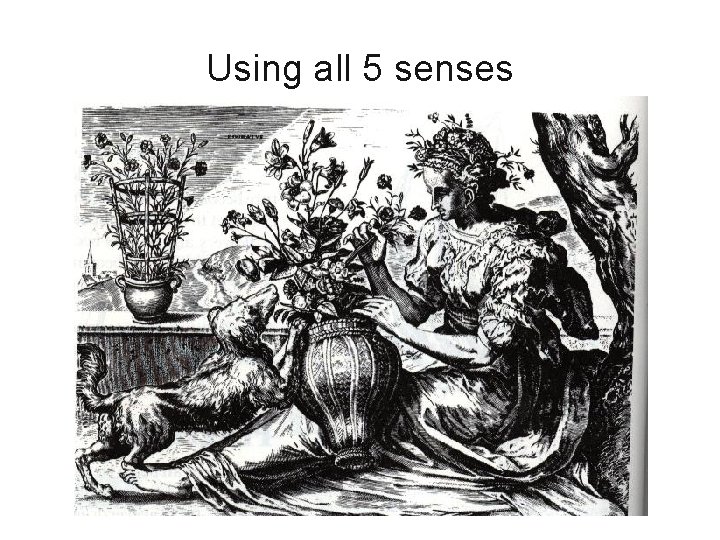Using all 5 senses 