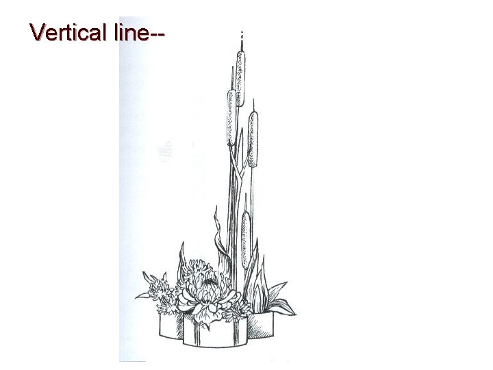 Vertical line--Power and strength line-- 