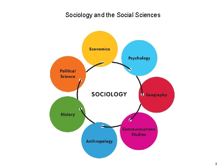 Sociology and the Social Sciences 3 