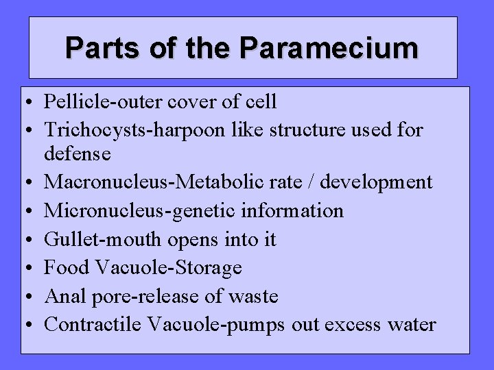 Parts of the Paramecium • Pellicle-outer cover of cell • Trichocysts-harpoon like structure used
