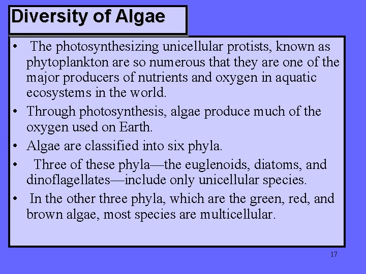 Diversity of Algae • The photosynthesizing unicellular protists, known as phytoplankton are so numerous