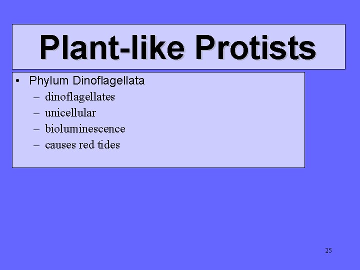 Plant-like Protists • Phylum Dinoflagellata – dinoflagellates – unicellular – bioluminescence – causes red