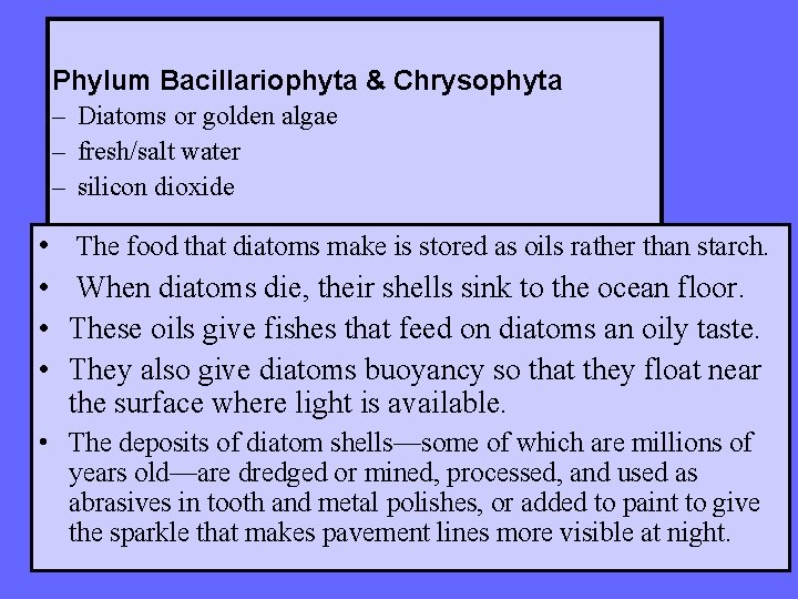 Phylum Bacillariophyta & Chrysophyta – Diatoms or golden algae – fresh/salt water – silicon Phylum Bacillariophyta & Chrysophyta – Diatoms or golden algae – fresh/salt water – silicon