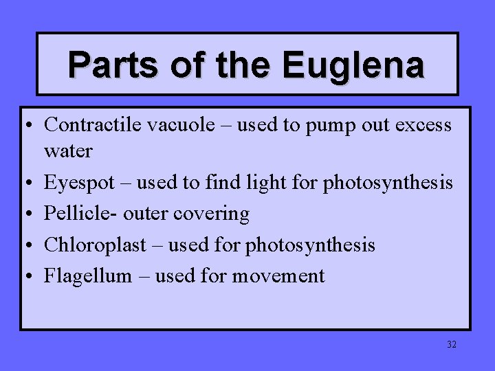 Parts of the Euglena • Contractile vacuole – used to pump out excess water Parts of the Euglena • Contractile vacuole – used to pump out excess water