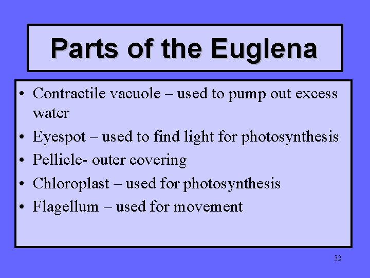 Parts of the Euglena • Contractile vacuole – used to pump out excess water