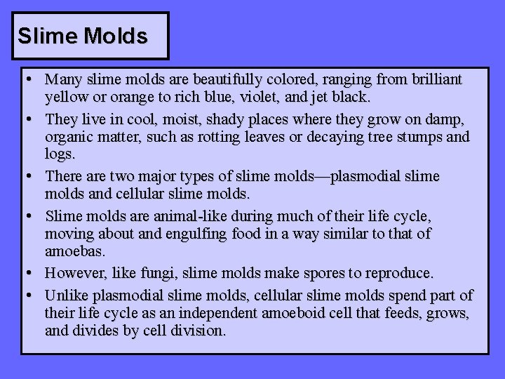 Slime Molds • Many slime molds are beautifully colored, ranging from brilliant yellow or