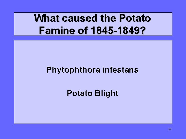 What caused the Potato Famine of 1845 -1849? Phytophthora infestans Potato Blight 39 