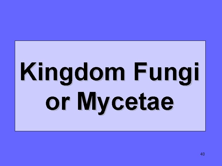 Kingdom Fungi or Mycetae 40 