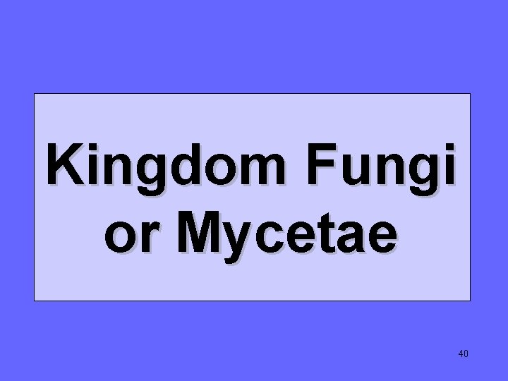 Kingdom Fungi or Mycetae 40 Kingdom Fungi or Mycetae 40
