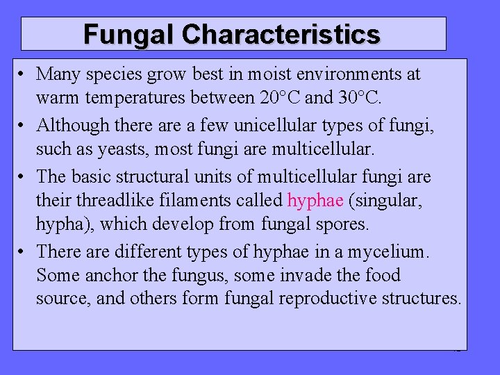 Fungal Characteristics • Many species grow best in moist environments at warm temperatures between