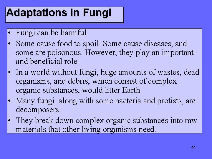 Adaptations in Fungi • Fungi can be harmful. • Some cause food to spoil. Adaptations in Fungi • Fungi can be harmful. • Some cause food to spoil.