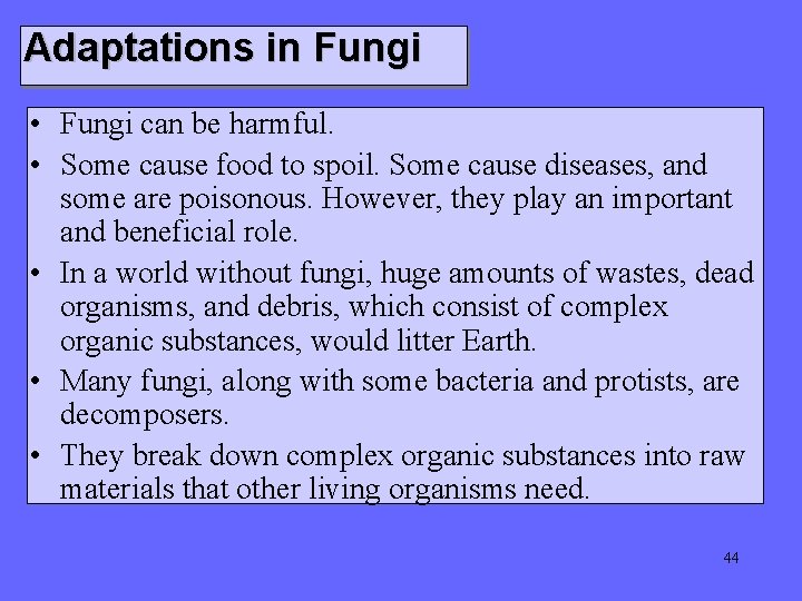 Adaptations in Fungi • Fungi can be harmful. • Some cause food to spoil.