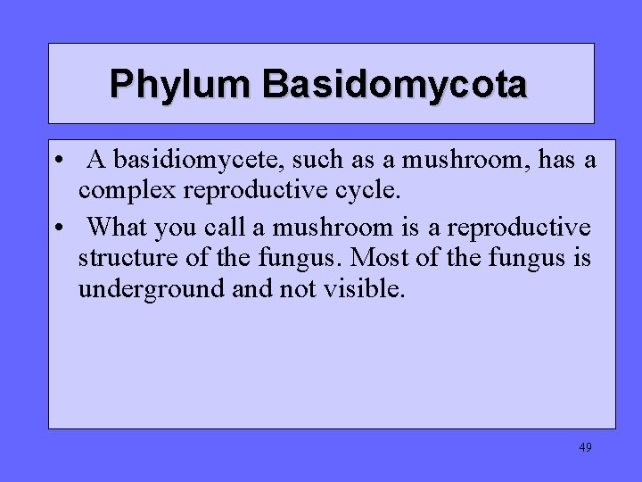 Phylum Basidomycota • A basidiomycete, such as a mushroom, has a complex reproductive cycle. Phylum Basidomycota • A basidiomycete, such as a mushroom, has a complex reproductive cycle.