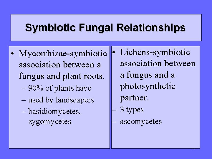Symbiotic Fungal Relationships • Mycorrhizae-symbiotic • Lichens-symbiotic association between a a fungus and plant Symbiotic Fungal Relationships • Mycorrhizae-symbiotic • Lichens-symbiotic association between a a fungus and plant