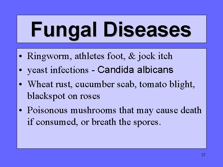 Fungal Diseases • Ringworm, athletes foot, & jock itch • yeast infections - Candida