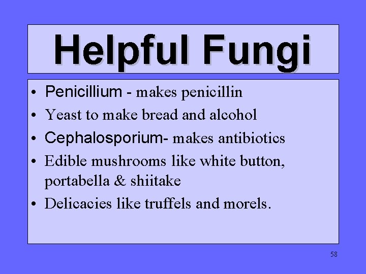 Helpful Fungi Penicillium - makes penicillin Yeast to make bread and alcohol Cephalosporium- makes Helpful Fungi Penicillium - makes penicillin Yeast to make bread and alcohol Cephalosporium- makes