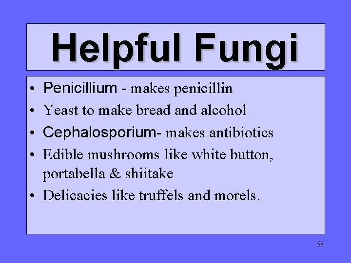 Helpful Fungi Penicillium - makes penicillin Yeast to make bread and alcohol Cephalosporium- makes